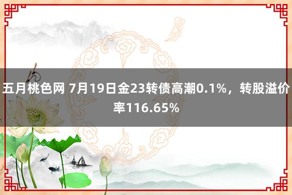 五月桃色网 7月19日金23转债高潮0.1%，转股溢价率116.65%