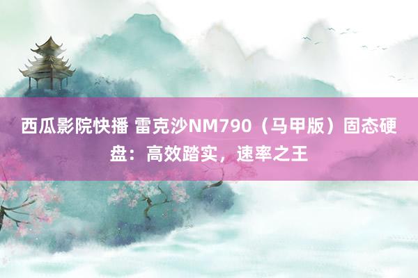 西瓜影院快播 雷克沙NM790（马甲版）固态硬盘：高效踏实，速率之王