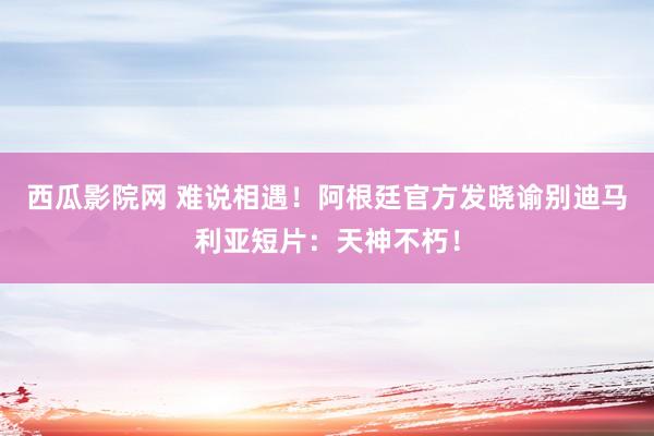 西瓜影院网 难说相遇！阿根廷官方发晓谕别迪马利亚短片：天神不朽！