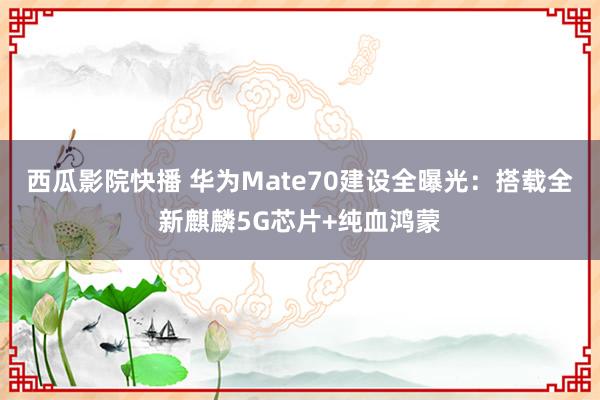 西瓜影院快播 华为Mate70建设全曝光：搭载全新麒麟5G芯片+纯血鸿蒙