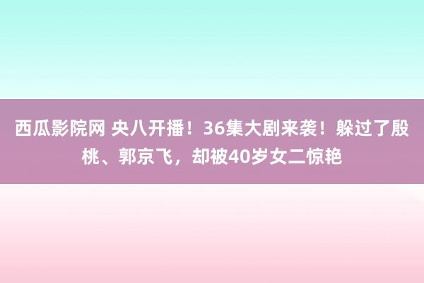 西瓜影院网 央八开播！36集大剧来袭！躲过了殷桃、郭京飞，却被40岁女二惊艳