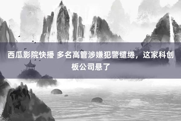 西瓜影院快播 多名高管涉嫌犯警缱绻，这家科创板公司悬了