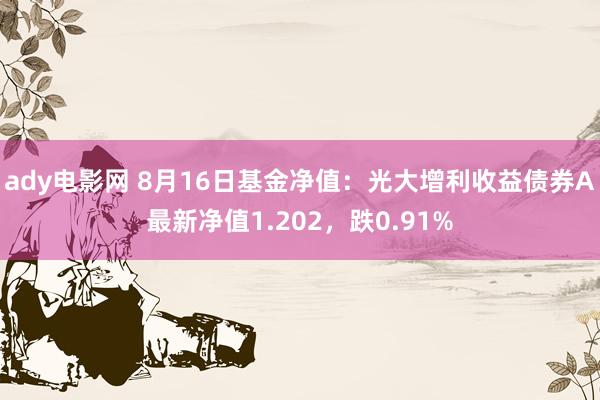 ady电影网 8月16日基金净值：光大增利收益债券A最新净值1.202，跌0.91%