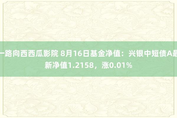 一路向西西瓜影院 8月16日基金净值：兴银中短债A最新净值1.2158，涨0.01%