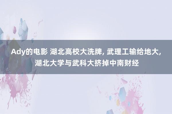 Ady的电影 湖北高校大洗牌， 武理工输给地大， 湖北大学与武科大挤掉中南财经