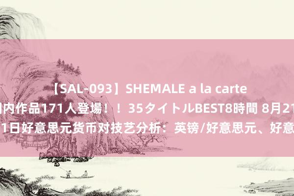 【SAL-093】SHEMALE a la carteの歴史 2008～2011 国内作品171人登場！！35タイトルBEST8時間 8月21日好意思元货币对技艺分析：英镑/好意思元、好意思元/日元、纽元/好意思元