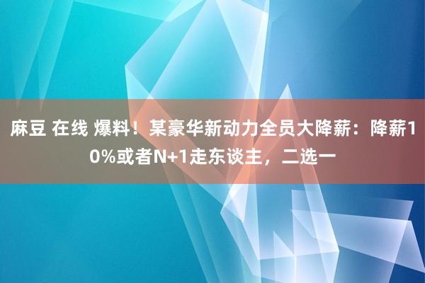 麻豆 在线 爆料！某豪华新动力全员大降薪：降薪10%或者N+1走东谈主，二选一