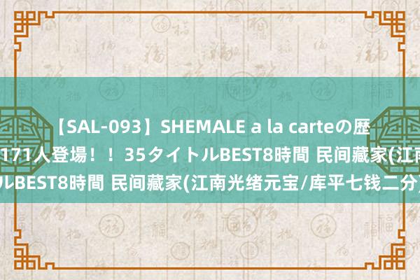 【SAL-093】SHEMALE a la carteの歴史 2008～2011 国内作品171人登場！！35タイトルBEST8時間 民间藏家(江南光绪元宝/库平七钱二分)