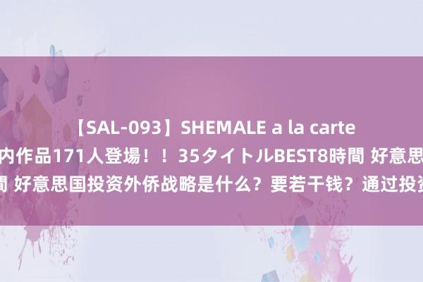 【SAL-093】SHEMALE a la carteの歴史 2008～2011 国内作品171人登場！！35タイトルBEST8時間 好意思国投资外侨战略是什么？要若干钱？通过投资外侨多久能拿绿卡？