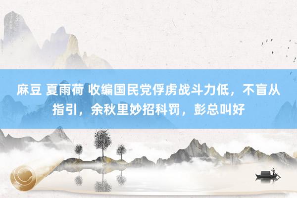 麻豆 夏雨荷 收编国民党俘虏战斗力低，不盲从指引，余秋里妙招科罚，彭总叫好