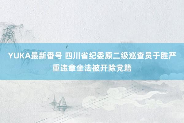 YUKA最新番号 四川省纪委原二级巡查员于胜严重违章坐法被开除党籍