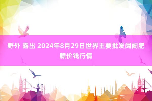 野外 露出 2024年8月29日世界主要批发阛阓肥膘价钱行情