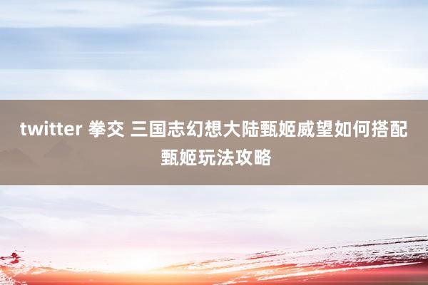 twitter 拳交 三国志幻想大陆甄姬威望如何搭配 甄姬玩法攻略