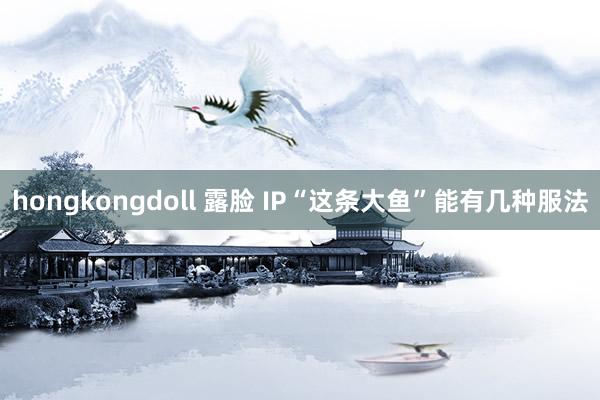 hongkongdoll 露脸 IP“这条大鱼”能有几种服法