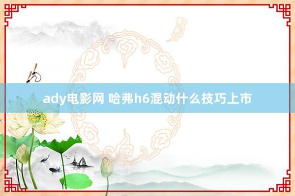 ady电影网 哈弗h6混动什么技巧上市