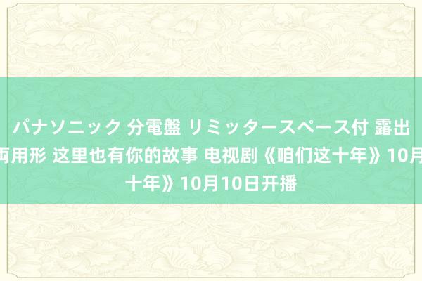 パナソニック 分電盤 リミッタースペース付 露出・半埋込両用形 这里也有你的故事 电视剧《咱们这十年》10月10日开播