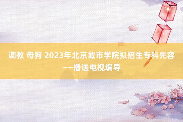 调教 母狗 2023年北京城市学院拟招生专科先容——播送电视编导