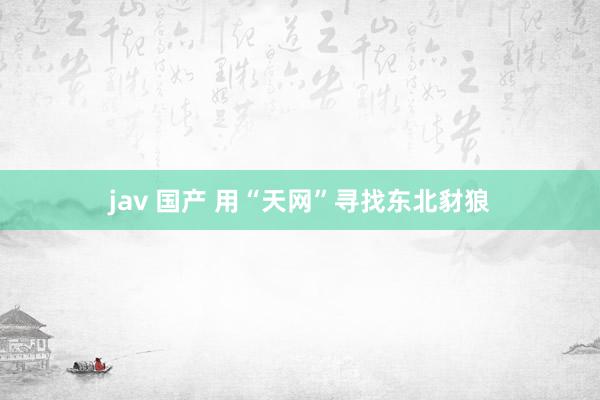 jav 国产 用“天网”寻找东北豺狼