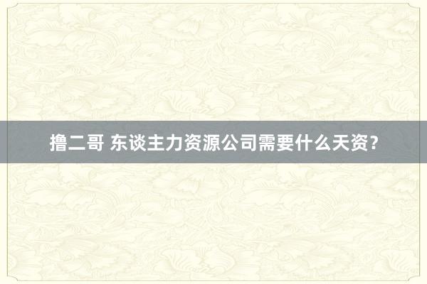 撸二哥 东谈主力资源公司需要什么天资？