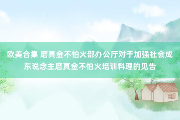 欧美合集 磨真金不怕火部办公厅对于加强社会成东说念主磨真金不怕火培训料理的见告