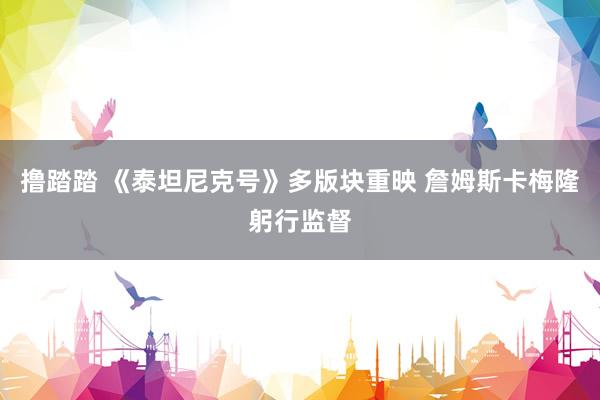 撸踏踏 《泰坦尼克号》多版块重映 詹姆斯卡梅隆躬行监督