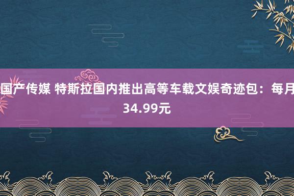 国产传媒 特斯拉国内推出高等车载文娱奇迹包：每月34.99元