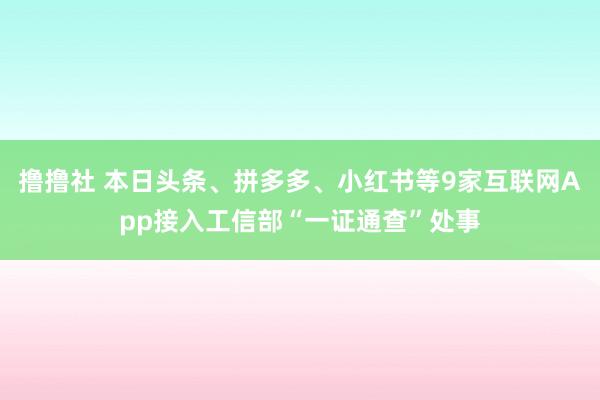 撸撸社 本日头条、拼多多、小红书等9家互联网App接入工信部“一证通查”处事